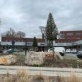 Location de local commercial de 501 m² à Villeneuve-d'Ascq - 59491 photo - 5