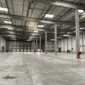 Location d'entrepôt de 29 520 m² à Castelnau-d'Estrétefonds - 31620 photo - 3