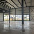 Location d'entrepôt de 680 m² à Ostwald - 67540 photo - 3