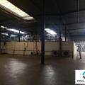 Location d'entrepôt de 4 725 m² à Saint-Étienne-du-Rouvray - 76800 photo - 3