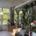 Bureau à vendre de 1 040 m² à Gouvieux - 60270 photo - 11