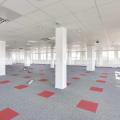 Bureau à vendre de 6 736 m² à Lyon 7 - 69007 photo - 3