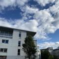 Bureau à vendre de 260 m² à Strasbourg - 67000 photo - 7