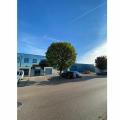 Entrepôt à vendre de 800 m² à Marsannay-la-Côte - 21160 photo - 5