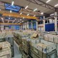 Entrepôt à vendre de 3 445 m² à Saint-Pierre-en-Faucigny - 74800 photo - 1