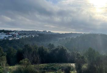 Location bureaux - Sophia Antipolis - Proche Antibes et Nice