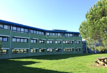 Bureaux à louer - grand patio végétalisé  à Canéjan - 33610