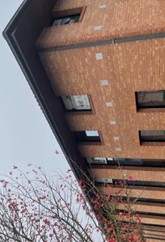 Bureaux à louer - Proche métro, bus et autoroutes  à Lezennes - 59260