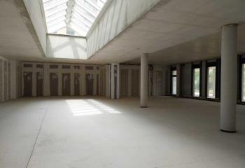 Location bureau Mauguio (34130) - 300 m²  à Mauguio - 34130