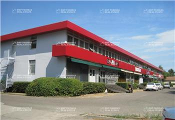 Location bureaux - avenue Georges Frêche  à Montpellier - 34000