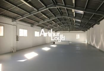Location bureau (06200) - 291 m²