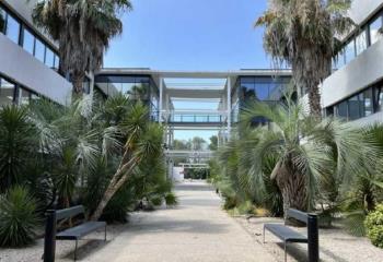 Location bureau Pérols (34470) - 1141 m²  à Pérols - 34470