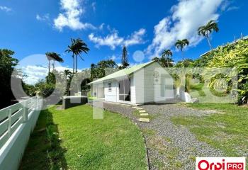 Location bureau (97170) - 12 m²