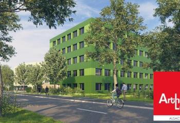 Location bureau (67300) - 402 m²  à Schiltigheim - 67300