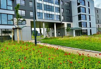 Location bureaux Ouest - Proche centre-ville, TGV et transports  à Strasbourg - 67000