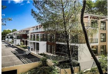 Location bureaux Sophia Antipolis - Proche route des Lucioles