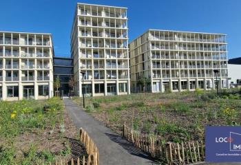 Local commercial à louer - Bord de Garonne  à Bordeaux - 33000