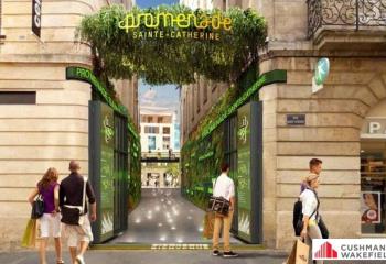 Local commercial à louer - Promenade Sainte-Catherine  à Bordeaux - 33000