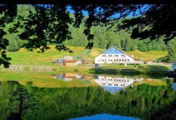 Location local commercial La Bresse (88250) - 230 m²  à La Bresse - 88250