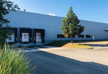 Location activité/entrepôt Altorf (67120) - 3506 m²  à Altorf - 67120