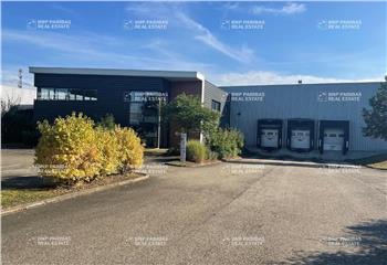 Location activité/entrepôt Altorf (67120) - 3622 m²
