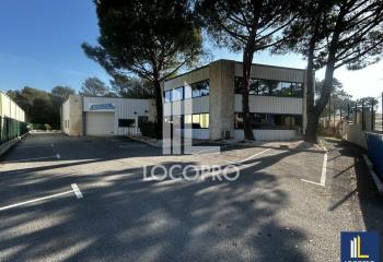 Location bâtiment mixte - Zone industrielle des Trois Moulins  à Antibes - 06600