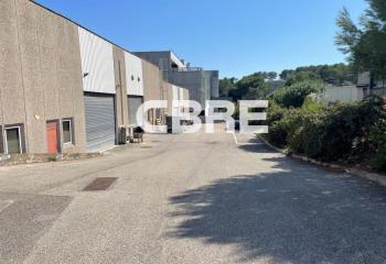 Locaux d'activités à louer - Proximité A8 et Sophia Antipolis  à Antibes - 06600