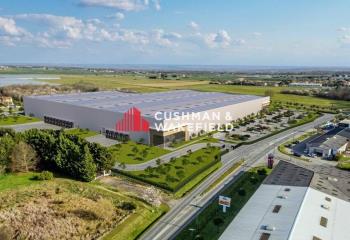 Locaux d'activités et entrepôts à louer - Proche aéroport