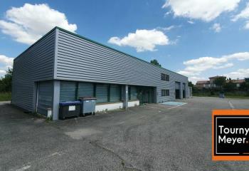 Location activité/entrepôt Auzeville-Tolosane (31320) - 501 m²  à Auzeville-Tolosane - 31320