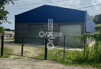 Location activité/entrepôt Baie-Mahault (97122) - 440 m²