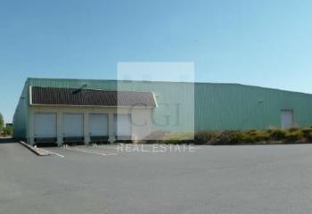 Local d'activité à louer-sur-Saône - Proche A6  à Belleville - 69220