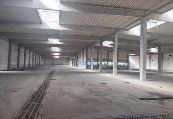 Location activité/entrepôt Blyes (01150) - 7035 m²  à Blyes - 01150