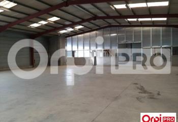 Location activité/entrepôt Bourg-lès-Valence (26500) - 1187 m²  à Bourg-lès-Valence - 26500