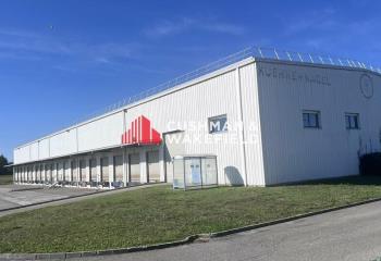 Entrepôt de messagerie à louer - Proche A62 sortie St Jory