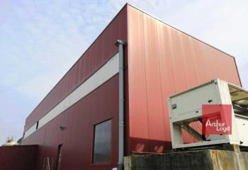 Location activité/entrepôt Campsas (82370) - 2925 m²  à Campsas - 82370