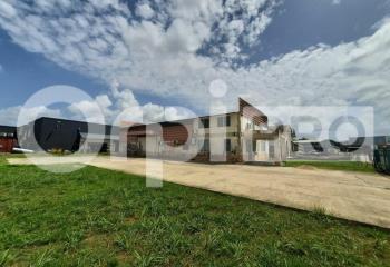 Location activité/entrepôt Cayenne (97300) - 350 m²