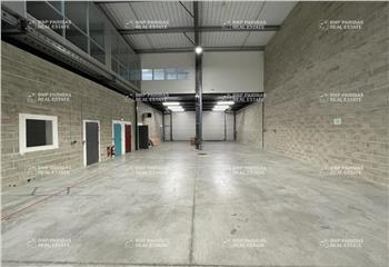 Location cellule d'activités - Quai et porte de plain-pied  à Collégien - 77090