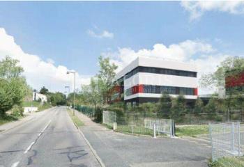 Locaux mixtes à louer - Proximité A6 et transports en commun  à Dardilly - 69570