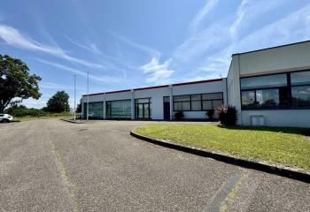 Location activité/entrepôt Eckbolsheim (67201) - 258 m²