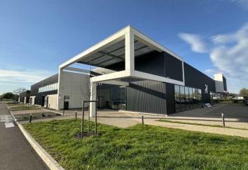 Location activité/entrepôt Eschau (67114) - 1100 m²  à Eschau - 67114