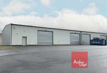 Location activité/entrepôt Fronton (31620) - 730 m²  à Fronton - 31620
