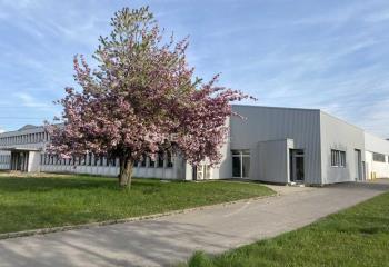 Local d'activité à louer - Proche A35 et zone commerciale  à Geispolsheim - 67118