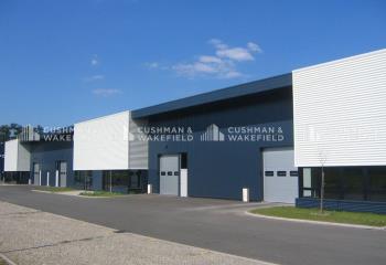 Local d'activité à louer - Proximité A35  à Geispolsheim - 67118