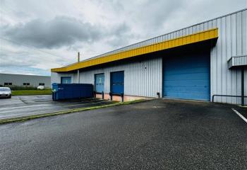 Entrepôts avec quais à louer - Zone Industrielle Forlen  à Geispolsheim - 67118