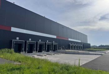 Location activité/entrepôt Harnes (62440) - 20047 m²  à Harnes - 62440