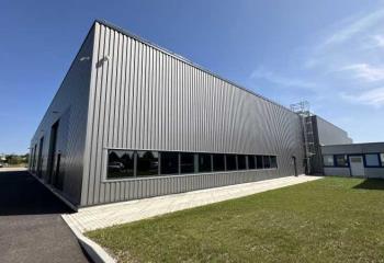 Location activité/entrepôt Hoerdt (67720) - 1299 m²  à Hoerdt - 67720