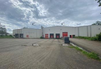 Location activité/entrepôt Illkirch-Graffenstaden (67400) - 7162 m²  à Illkirch-Graffenstaden - 67400