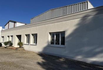 Location activité/entrepôt Illkirch-Graffenstaden (67400) - 1130 m²  à Illkirch-Graffenstaden - 67400