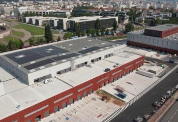 Location entrepôt logistique - Proximité A7 et périphérique  à Lyon 7 - 69007
