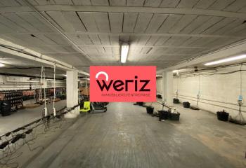 Location activité/entrepôt Marseille 9 (13009) - 585 m²  à Marseille 9 - 13009